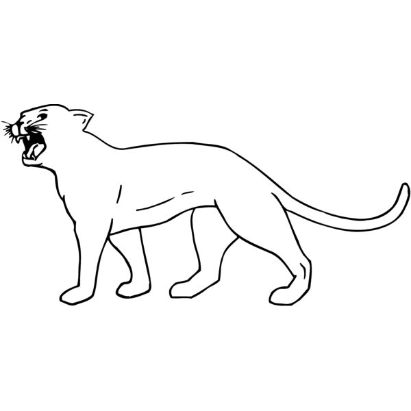 CAT05 Thumbnail