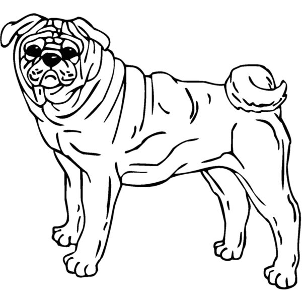 pug Thumbnail