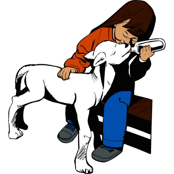 kidandlamb1 Thumbnail