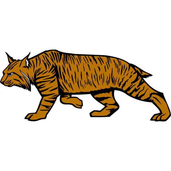 wildcat14v4clr Thumbnail