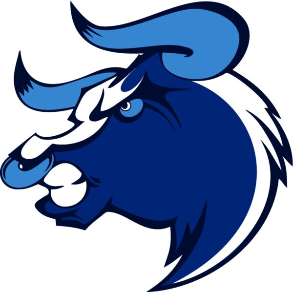 bull12v4clr Thumbnail