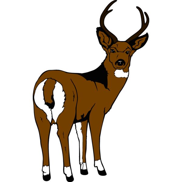 muledeer Thumbnail