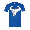 Softstyle® T-Shirt Thumbnail