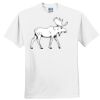 Everyone's Favorite T-Shirt for the Whole Family Thumbnail